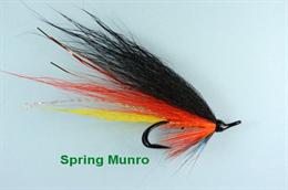 Spring Munro